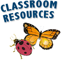Classroom Resources