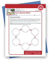 Activity Sheets